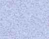 �A�X�g�������^���b�N�F�t�F���b�N���b�h���X�O�F�P�O