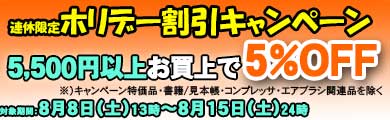 ���Ԓ��A�Ώۏ��i�T�C�T�O�O�ȏエ����ō��v���z����T������